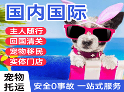 奇台江航空货运国际宠物托运 【国